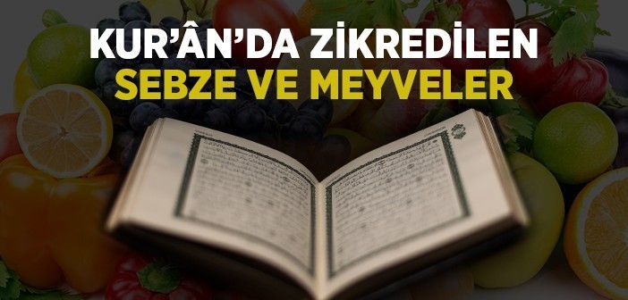 Daha büyük sürüm için resme tıklayın 

İsim: zdx63825.jpg 
Görüntülenme: 2578 
Boyut: 56.9 KB 
Kimlik: 161